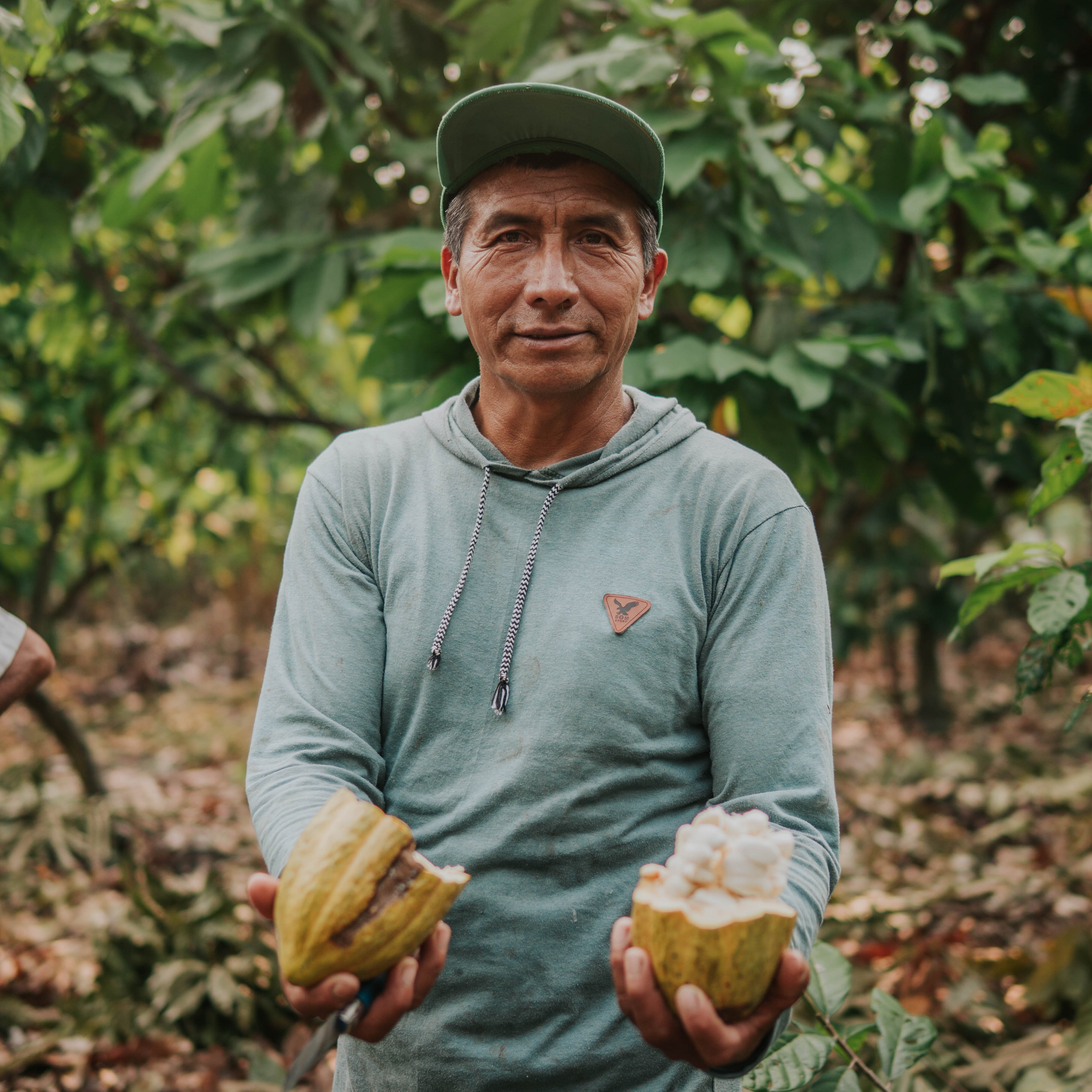 Crystal Cacao® Awake – Bio