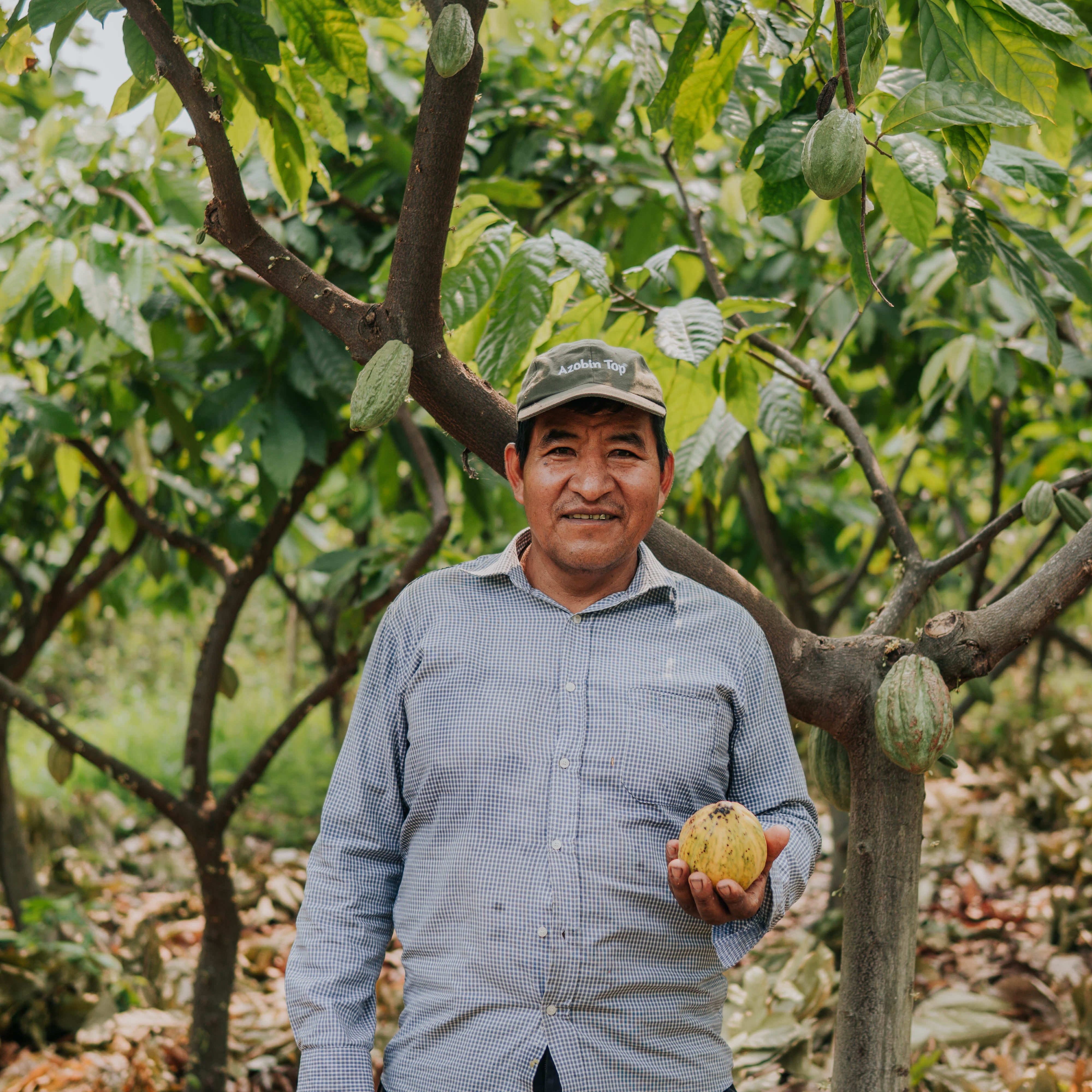 Crystal Cacao® Create – Bio
