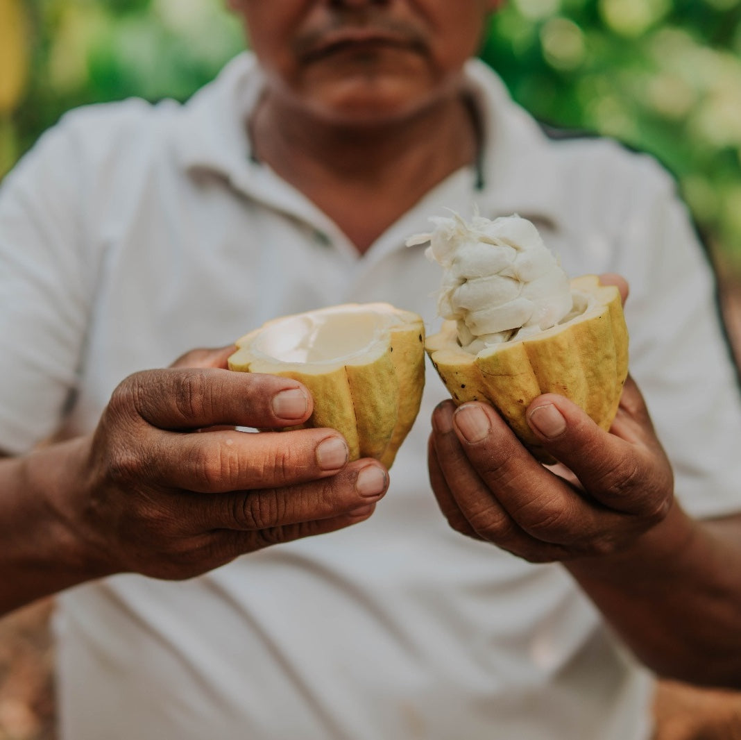Crystal Cacao® Create – Bio