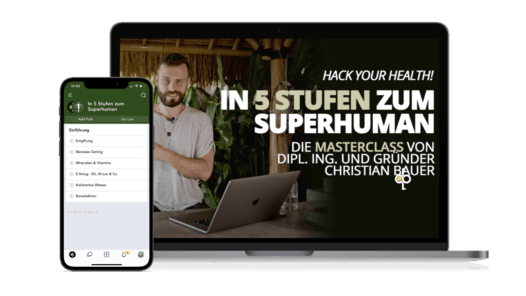 Kurs Bild in 5 Stufen zum Superhuman 